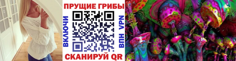 сколько стоит  OMG tor  Галлюциногенные грибы мицелий  Советск 
